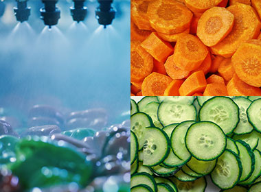 ocene-industrie-agroalimentaire-iaa-traitement-eau-process-transformation-preparation-legume-fruits-4eme-gamme