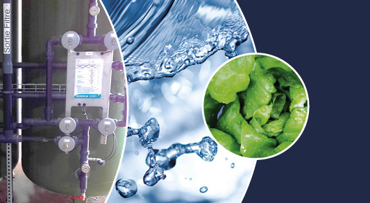 ocene-industrie-iaa-traitement-eau-realisations-waterreuse-actualites-resume